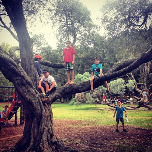 kids tree